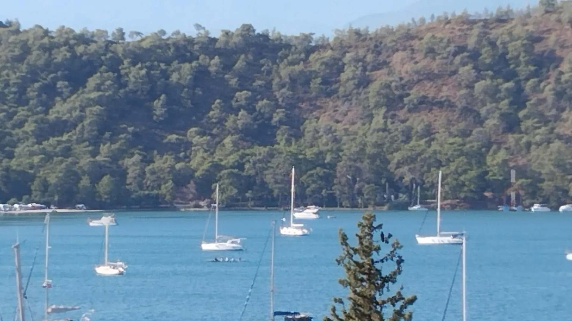 Duygu Apart Spellbinding Sea Views Fethiye 2*,